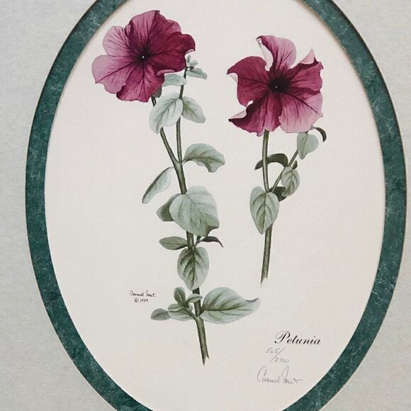 Print by Carmel Foret Petunia Orchid Botanical - Picture 3 of 9